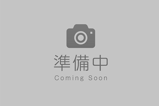 口腔内カメラ